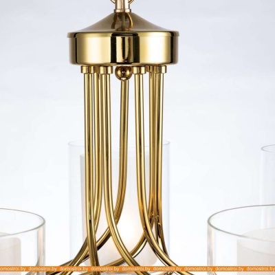 Подвесная люстра Favourite Plexus 2963-7P фотография