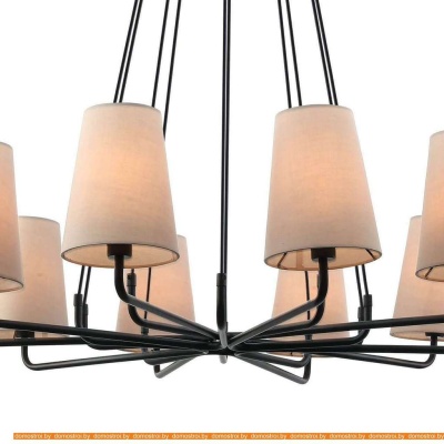 Подвесная люстра Favourite Pfefferling 2364-10P фотография