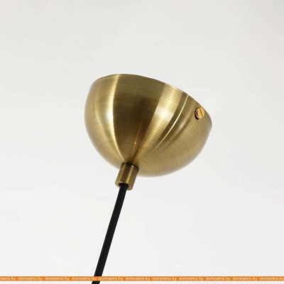 Подвесная люстра Favourite Idem 2723-3P фотография