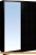 Шкаф-купе Глазов Домашний 1600 ЛДСП с зеркалом (венге) фотография