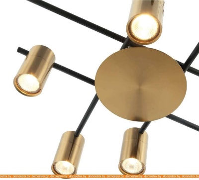 Потолочная люстра Favourite Topper 2827-8P фотография