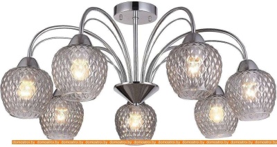 Люстра Favourite F-Promo Olimp 2540-7U фотография