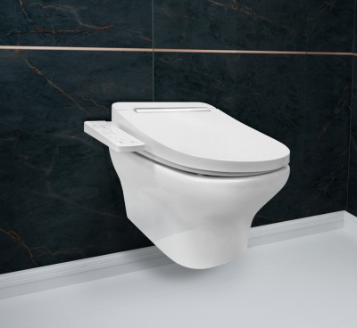 Комплект для подвесного унитаза 5 в 1 Smart N-Flash 3930024R фотография