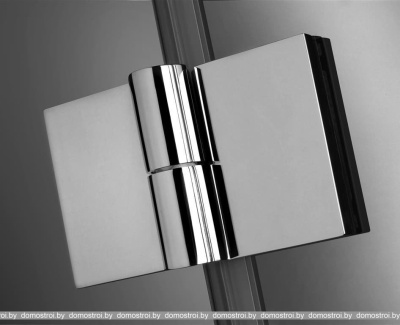 Душевая стенка Radaway Carena PND 130 фотография