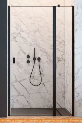 Душевая дверь Radaway Nes Black DWJ II 110 R фотография