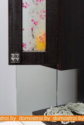 Шкаф с зеркалом Onika Сакура 70.101 правый (венге) 207012 фотография