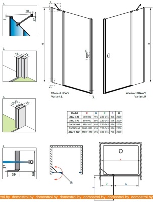 Душевая дверь Radaway Nes Black DWJ II 110 R фотография