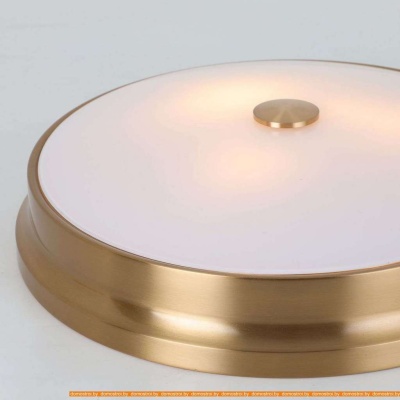 Потолочная люстра Favourite Pannikin 2375-3C фотография