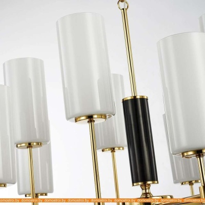 Подвесная люстра Favourite Palmarius 2815-10P фотография