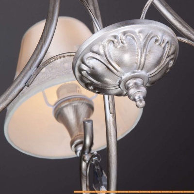 Люстра Евросвет 60069/5 (серебристый) фотография