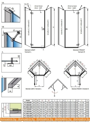 Душевой уголок Radaway Essenza New PTJ 80x80 фотография
