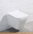Унитаз BelBagno Dory BB522ACHR фотография