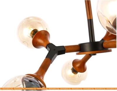 Люстра Evoluce Raquel SLE109402-06 фотография