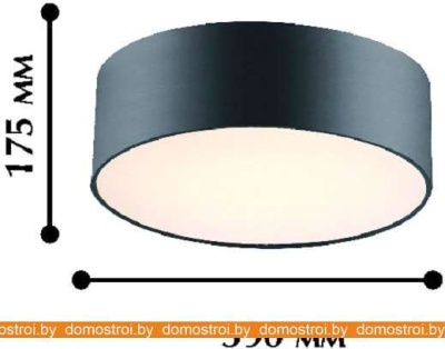 Потолочная люстра Favourite Cerchi 1514-2C1 фотография