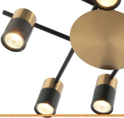 Потолочная люстра Favourite Topper 2825-8P фотография