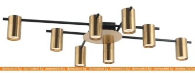 Потолочная люстра Favourite Topper 2827-8P фотография