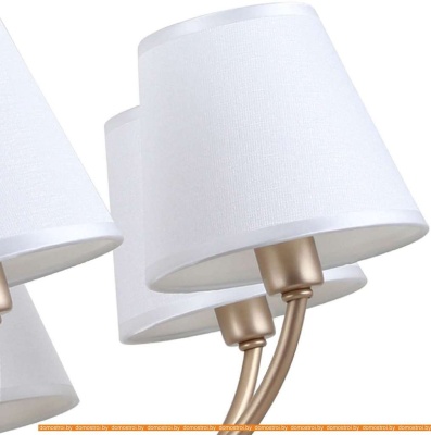 Подвесная люстра Favourite Utremia 2662-8P фотография