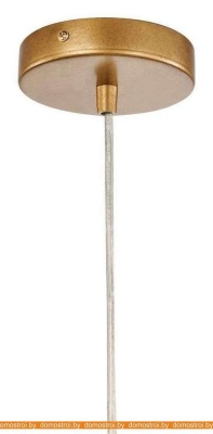 Подвесная люстра Favourite Antares 2931-1P фотография