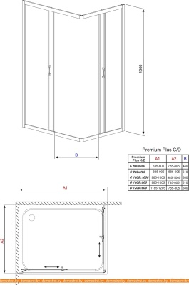 Душевой уголок Radaway Premium Plus C 100х100 (графитовое стекло) фотография