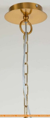 Подвесная люстра Favourite Bellis 2871-25P фотография