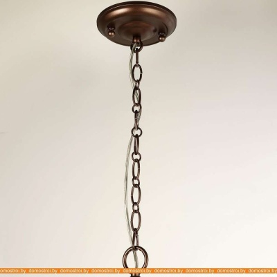 Подвесная люстра Favourite Avangard 2953-6P фотография