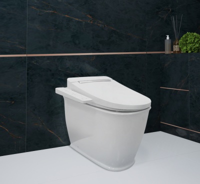 Комплект для приставного унитаза 4 в 1 Smart F-Control 39300170  фотография