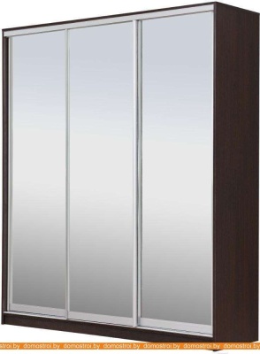 Шкаф-купе Рэйгрупп 176450 VVX Elgon РГ-09.04 (венге/хром) фотография