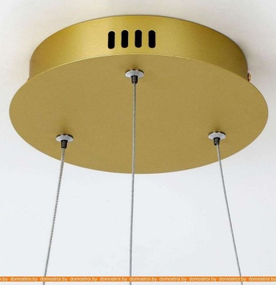 Подвесная люстра Favourite Giro 2937-6P фотография