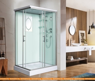 Душевая кабина WeltWasser WW500 Laine 1204 фотография