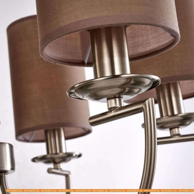 Подвесная люстра Favourite Argo 2934-6P фотография