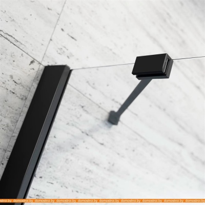 Душевая дверь Radaway Essenza New Black DWJ 100L фотография