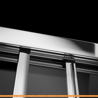 Душевая дверь Radaway Evo DW 120 фотография