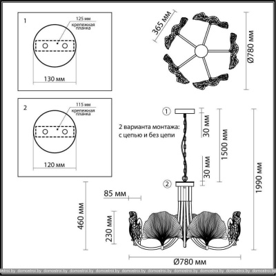 Подвесная люстра Odeon Light Ventaglio 4870/5 фотография