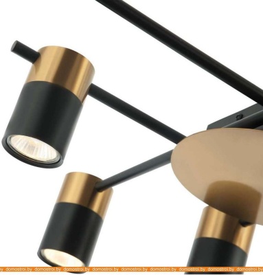 Потолочная люстра Favourite Topper 2825-8P фотография