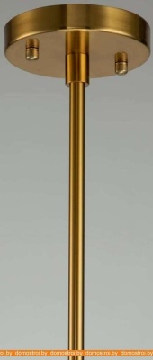 Подвесная люстра Favourite Amusing 2876-5P фотография