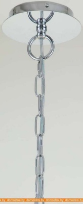 Подвесная люстра Favourite Bellis 2870-12P фотография