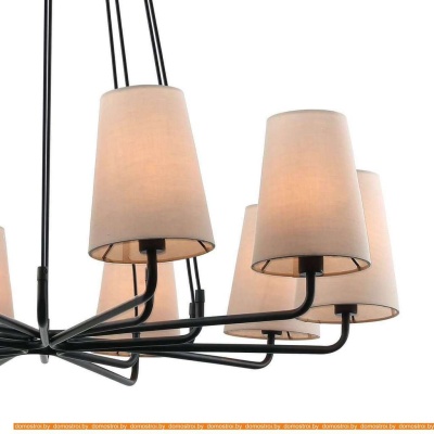 Подвесная люстра Favourite Pfefferling 2364-10P фотография