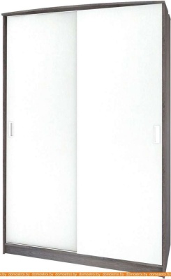 Шкаф-купе Кортекс-мебель Лагуна ШК02-00 (береза/белый) фотография