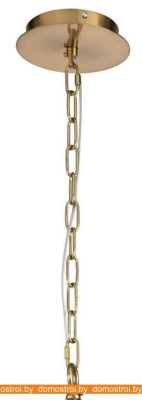 Подвесная люстра Favourite Plexus 2963-7P фотография