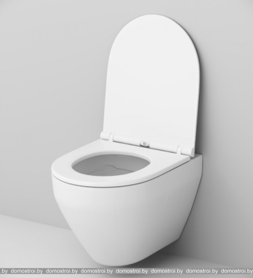 Унитаз AM.PM Spirit 2.0 FlashClean IS49051.701700 фотография