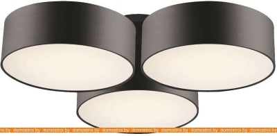 Потолочная люстра Favourite Cerchi 1514-6C фотография