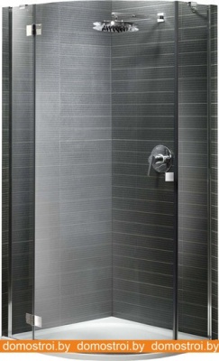 Душевой уголок Radaway Almatea PDJ 90 L (30602-01-01N) фотография