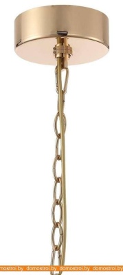 Подвесная люстра Favourite Ignis 2882-19P фотография