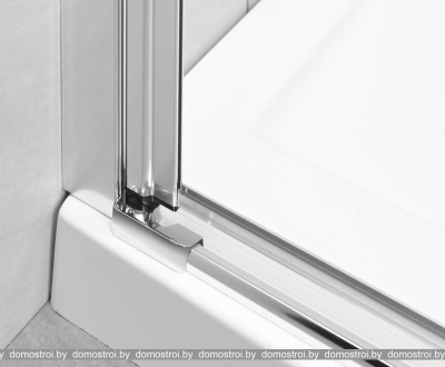 Душевая дверь Radaway Eos DWS 110 L фотография