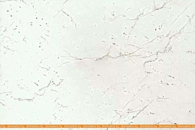 Кухня ВерсоМебель ВерсоЛайн 7-1.9 (белый 001) фотография