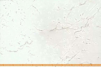 Кухня ВерсоМебель ВерсоЛайн 4-1.8 (белый/глициния) фотография