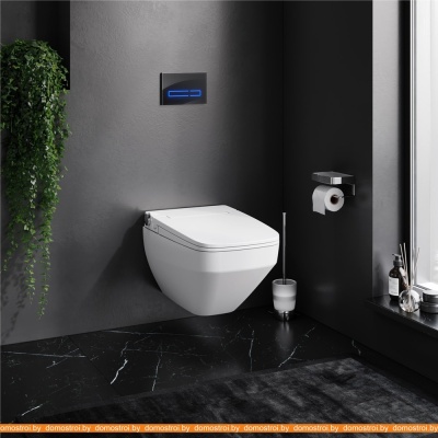 Унитаз AM.PM Inspire 2.0 FlashClean IS450A38.CCC50A фотография