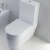 Напольный унитаз BelBagno Genius BB541CP фотография