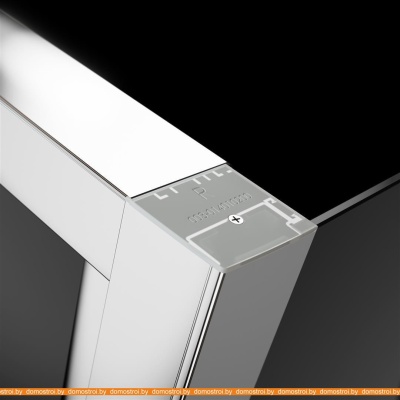 Душевая дверь Radaway Evo DW 120 фотография