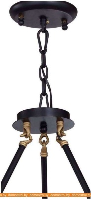 Подвесная люстра Favourite 1721-6PC фотография